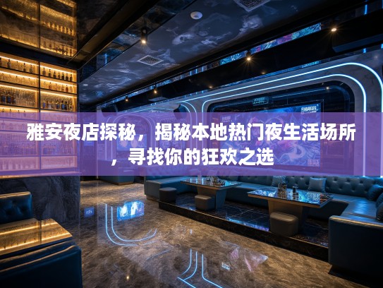 雅安夜店探秘，揭秘本地热门夜生活场所，寻找你的狂欢之选