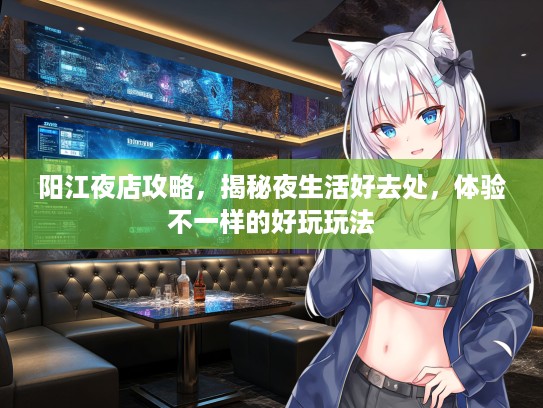阳江夜店攻略，揭秘夜生活好去处，体验不一样的好玩玩法