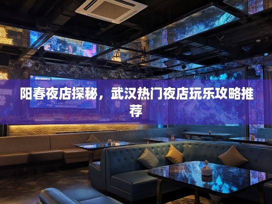 阳春夜店探秘，武汉热门夜店玩乐攻略推荐