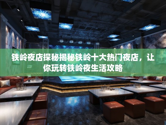 铁岭夜店探秘揭秘铁岭十大热门夜店，让你玩转铁岭夜生活攻略
