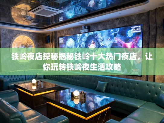 铁岭夜店探秘揭秘铁岭十大热门夜店，让你玩转铁岭夜生活攻略