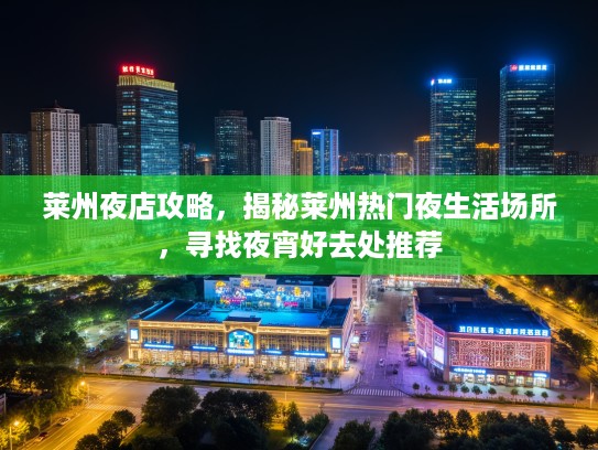 莱州夜店攻略，揭秘莱州热门夜生活场所，寻找夜宵好去处推荐