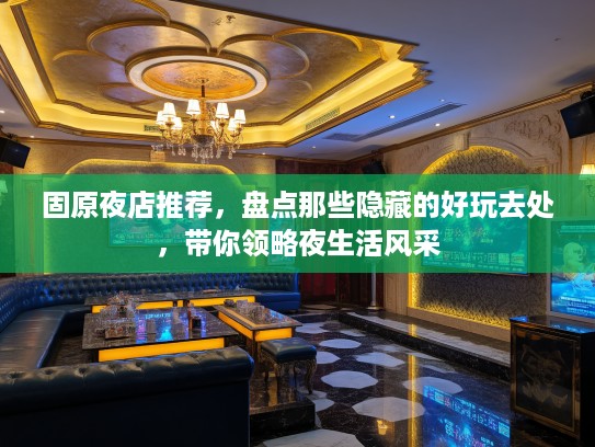 固原夜店推荐，盘点那些隐藏的好玩去处，带你领略夜生活风采