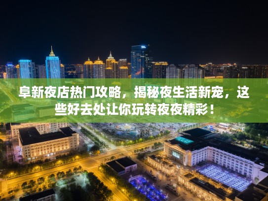 阜新夜店热门攻略，揭秘夜生活新宠，这些好去处让你玩转夜夜精彩！