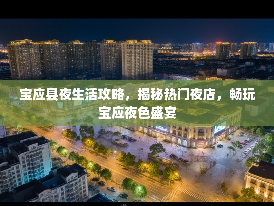 宝应县夜生活攻略，揭秘热门夜店，畅玩宝应夜色盛宴