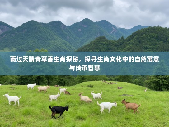 雨过天晴青草香生肖探秘，探寻生肖文化中的自然寓意与传承智慧