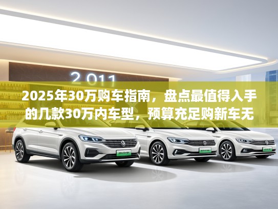 2025年30万购车指南，盘点最值得入手的几款30万内车型，预算充足购新车无忧选择！