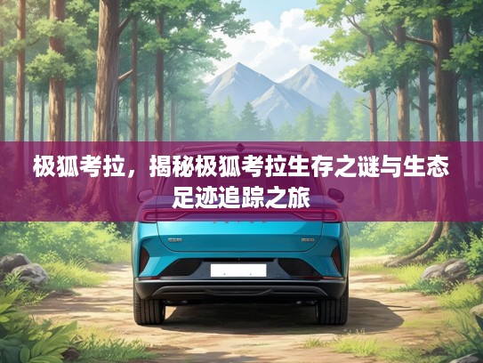 极狐考拉，揭秘极狐考拉生存之谜与生态足迹追踪之旅