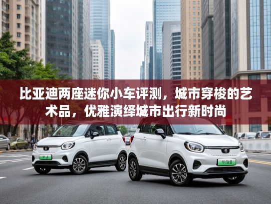 比亚迪两座迷你小车评测，城市穿梭的艺术品，优雅演绎城市出行新时尚