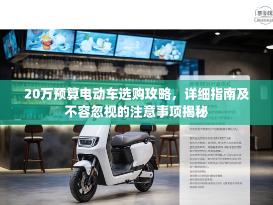 20万预算电动车选购攻略，详细指南及不容忽视的注意事项揭秘