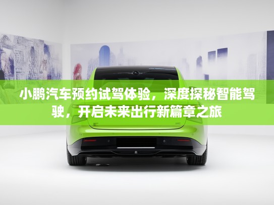 小鹏汽车预约试驾体验，深度探秘智能驾驶，开启未来出行新篇章之旅