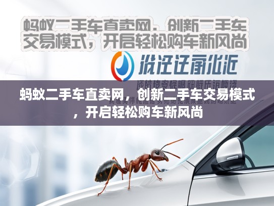 蚂蚁二手车直卖网,创新二手车交易模式,开启轻松购车新风尚 蚂蚁二手车直卖网,创新二手车交易模式,开启轻松购车新风尚