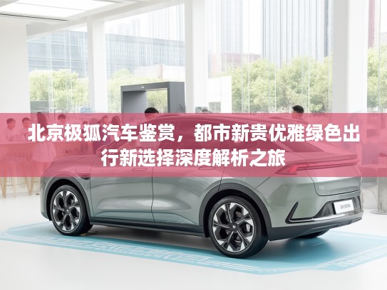 北京极狐汽车鉴赏，都市新贵优雅绿色出行新选择深度解析之旅