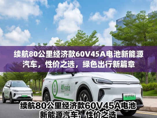 续航80公里经济款60V45A电池新能源汽车，性价之选，绿色出行新篇章