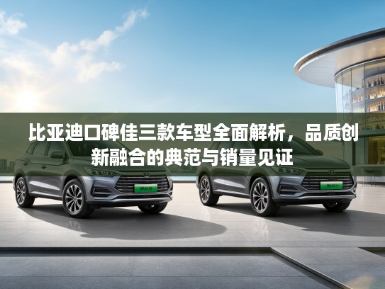 比亚迪口碑佳三款车型全面解析，品质创新融合的典范与销量见证