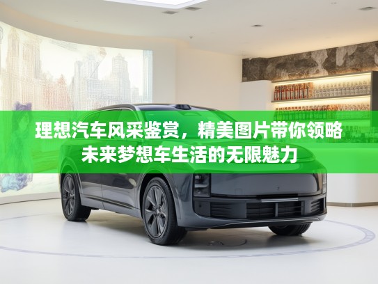 理想汽车风采鉴赏，精美图片带你领略未来梦想车生活的无限魅力
