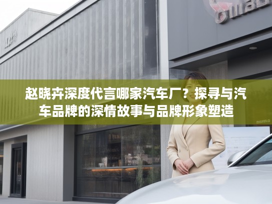 赵晓卉深度代言哪家汽车厂？探寻与汽车品牌的深情故事与品牌形象塑造