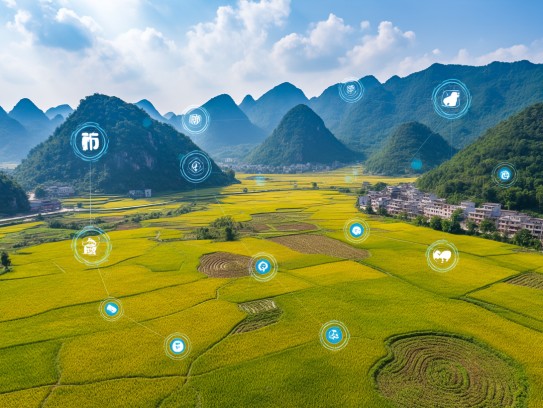 龙腾农野，不误农时，巧借成语打生肖，农业丰收新篇章