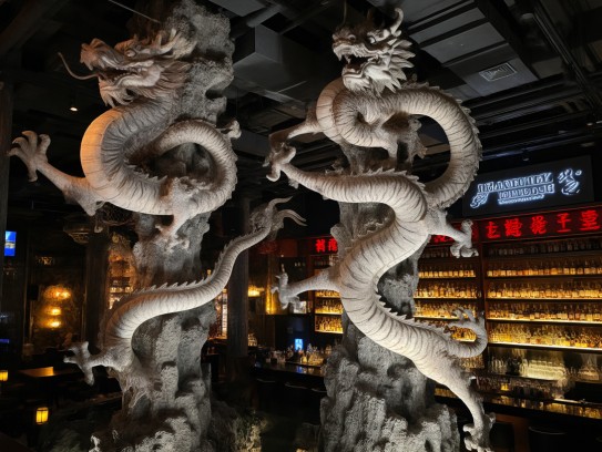 揭秘生肖之谜，高耸入云的最佳准确生肖是龙腾虎跃的生肖龙