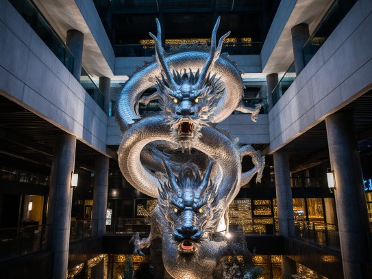 高耸入云指生肖龙，龙腾四海背后的高贵气质与神秘传说