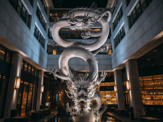 高耸入云指生肖龙，龙腾四海背后的高贵气质与神秘传说