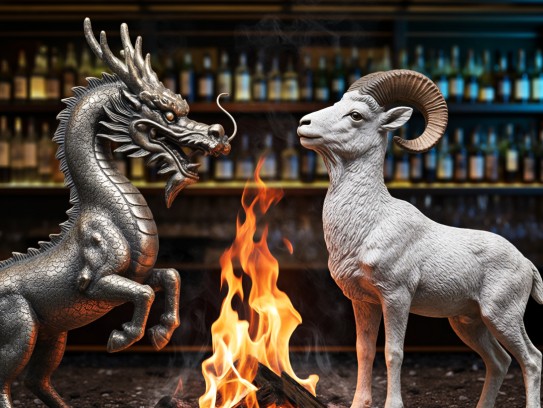 今期生肖龙羊合力，众人拾柴火焰高，揭秘生肖相辅相成共创辉煌之谜