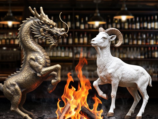 今期生肖龙羊合力，众人拾柴火焰高，揭秘生肖相辅相成共创辉煌之谜