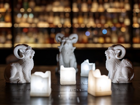 生肖之谜揭秘,悲喜兼集生肖象征,解码情感世界生肖生肖奥秘 生肖之谜揭秘,悲喜兼集生肖象征,解码情感世界生肖生肖奥秘