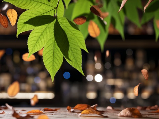 叶落知秋,探寻成语叶落知秋中的生肖奥秘与生肖之变 叶落知秋,探寻成语叶落知秋中的生肖奥秘与生肖之变