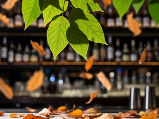 叶落知秋,探寻成语叶落知秋中的生肖奥秘与生肖之变 叶落知秋,探寻成语叶落知秋中的生肖奥秘与生肖之变