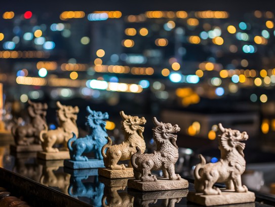 万家灯火象征生肖之光,映照十二生肖情深缘起 万家灯火象征生肖之光,映照十二生肖情深缘起