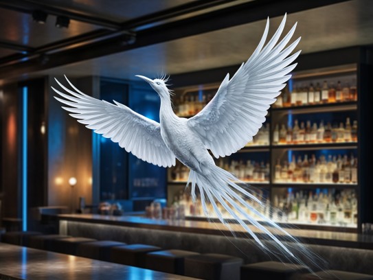 生肖文化里的轻盈之美,揭秘嚣浮轻巧凤凰展翅的生肖意象 生肖文化里的轻盈之美,揭秘嚣浮轻巧凤凰展翅的生肖意象