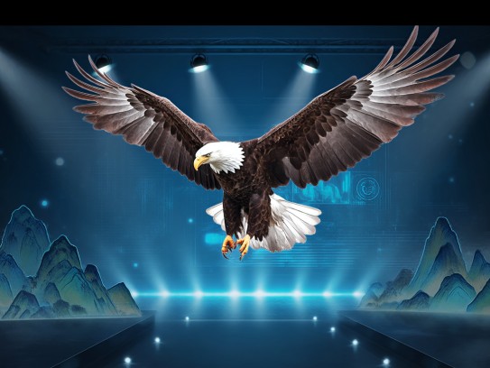 雄鹰展翅,鹰派人物生肖解析,揭秘雄心勃勃的风采之谜 雄鹰展翅,鹰派人物生肖解析,揭秘雄心勃勃的风采之谜