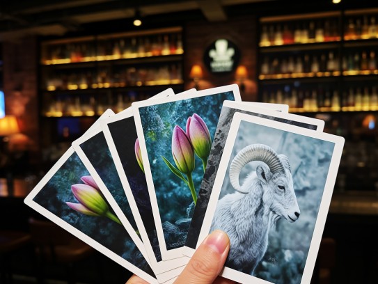 生肖之美揭秘,含苞欲放生肖花语,探寻十二生肖含蓄魅力解析 生肖之美揭秘,含苞欲放生肖花语,探寻十二生肖含蓄魅力解析