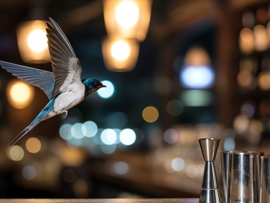 嚣浮轻盈如燕翱翔——探寻打一动物生肖的趣味解析