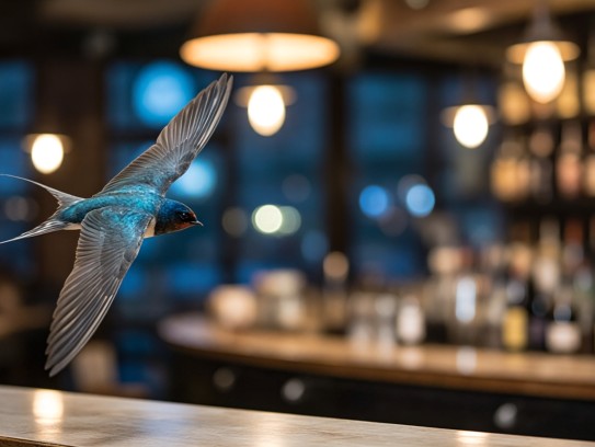 嚣浮轻盈如燕翱翔——探寻打一动物生肖的趣味解析