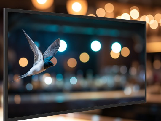 嚣浮轻盈如燕翱翔——探寻打一动物生肖的趣味解析