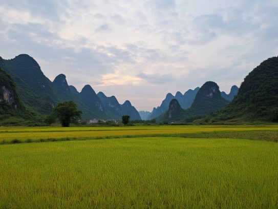 揭秘田园隐居生活,财神赐福四五六,巧解生肖之谜,品味岁月静好,悠然南山见 揭秘田园隐居生活,财神赐福四五六,巧解生肖之谜,品味岁月静好,悠然南山见