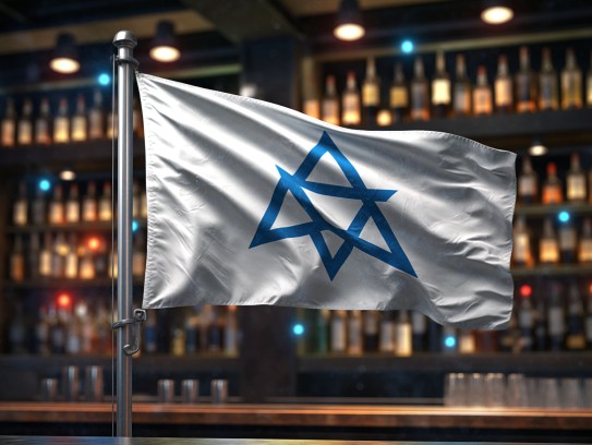 生肖文化解码，顺风扯旗代表哪个生肖，象征旗开得胜的风采解析