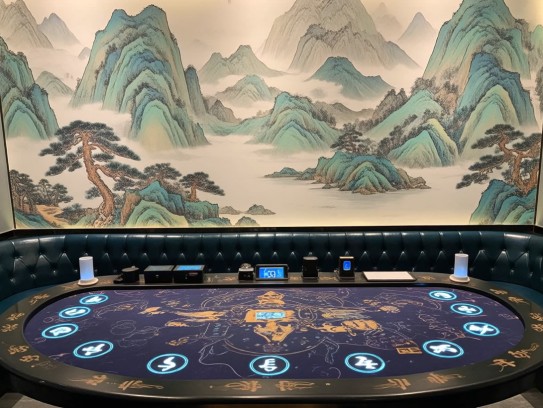 揭秘，红颜祸水不相信的生肖密码，探究生肖与命运间的神秘联系