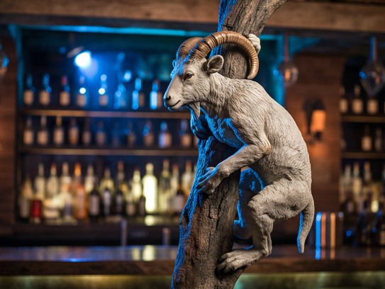 攀高枝儿生肖揭秘，攀龙附凤与枝繁叶茂背后的生肖智慧