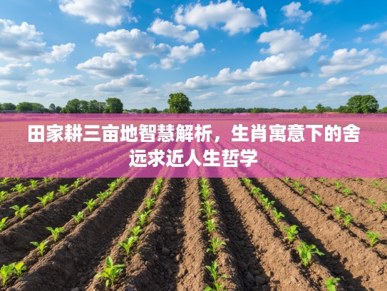 田家耕三亩地智慧解析,生肖寓意下的舍远求近人生哲学 田家耕三亩地智慧解析,生肖寓意下的舍远求近人生哲学