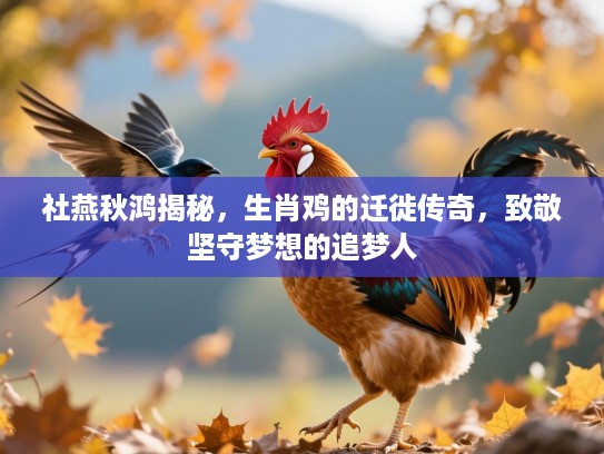 社燕秋鸿揭秘，生肖鸡的迁徙传奇，致敬坚守梦想的追梦人