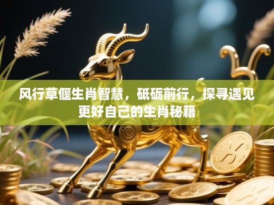 风行草偃生肖智慧，砥砺前行，探寻遇见更好自己的生肖秘籍
