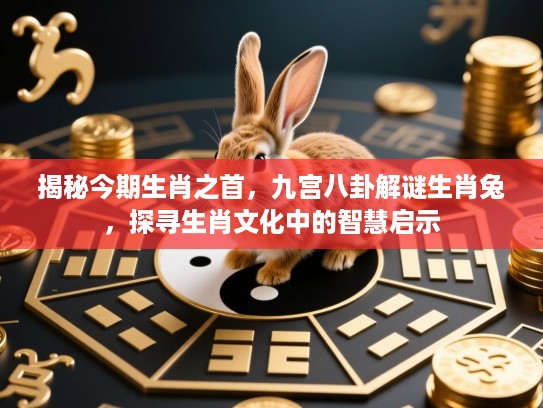 揭秘今期生肖之首，九宫八卦解谜生肖兔，探寻生肖文化中的智慧启示