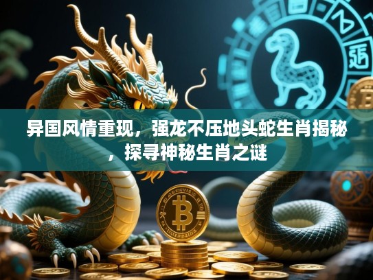 异国风情重现，强龙不压地头蛇生肖揭秘，探寻神秘生肖之谜