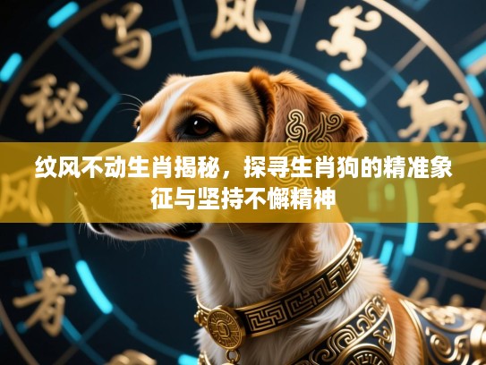 纹风不动生肖揭秘,探寻生肖狗的精准象征与坚持不懈精神 纹风不动生肖揭秘,探寻生肖狗的精准象征与坚持不懈精神