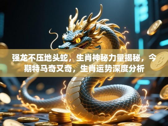 强龙不压地头蛇，生肖神秘力量揭秘，今期特马奇又奇，生肖运势深度分析