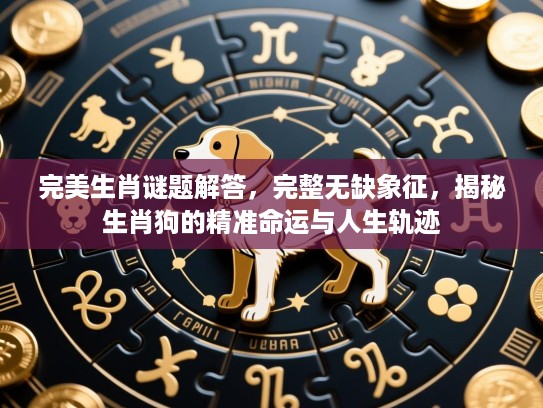 完美生肖谜题解答，完整无缺象征，揭秘生肖狗的精准命运与人生轨迹