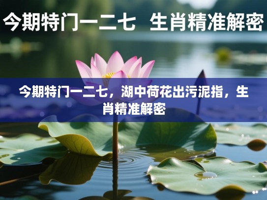 今期特门一二七，湖中荷花出污泥指，生肖精准解密